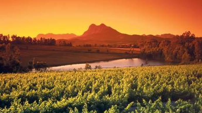 Dienvidāfrikas vīni